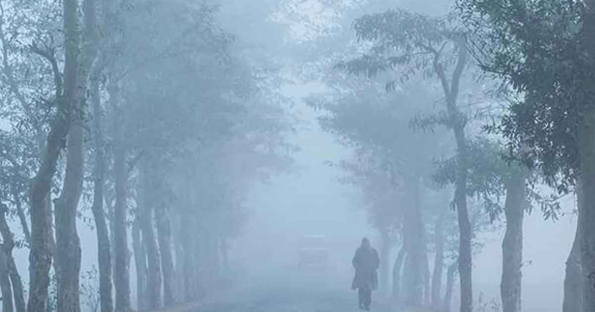 1770363711-4d1943a81c9bf711694f2ba5454c20cc