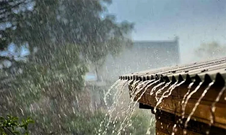 image-228533-1756275412