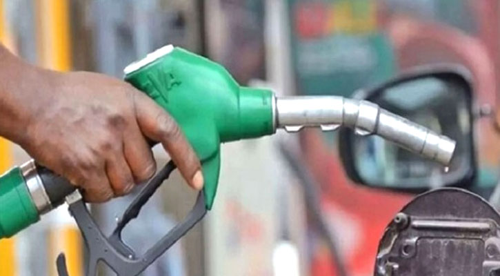 jalani-20260131183629