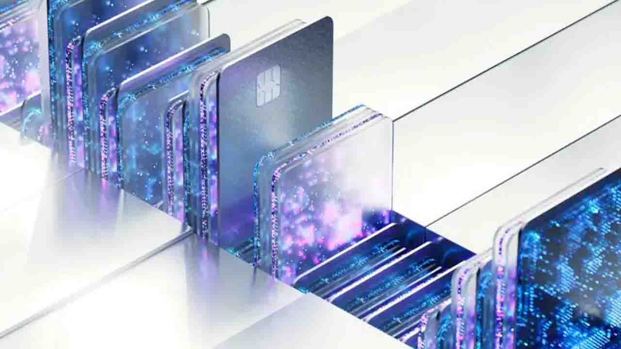 ccedr-20260303040526