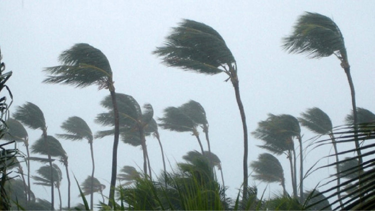 Storm