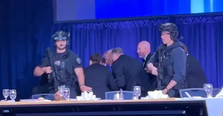 Untitled-1_original_1777175471