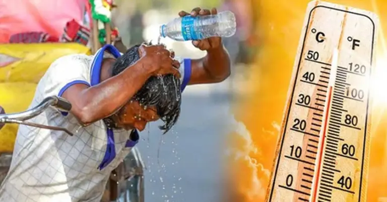 Weather heatwave-768x402