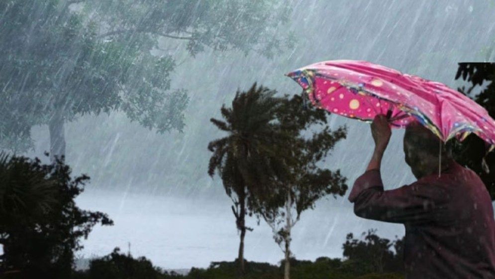 bisti-68771f11f3ddd-69cc9b8e55fef-69d861fccb035