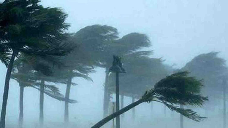 fdfghj-20260309044849