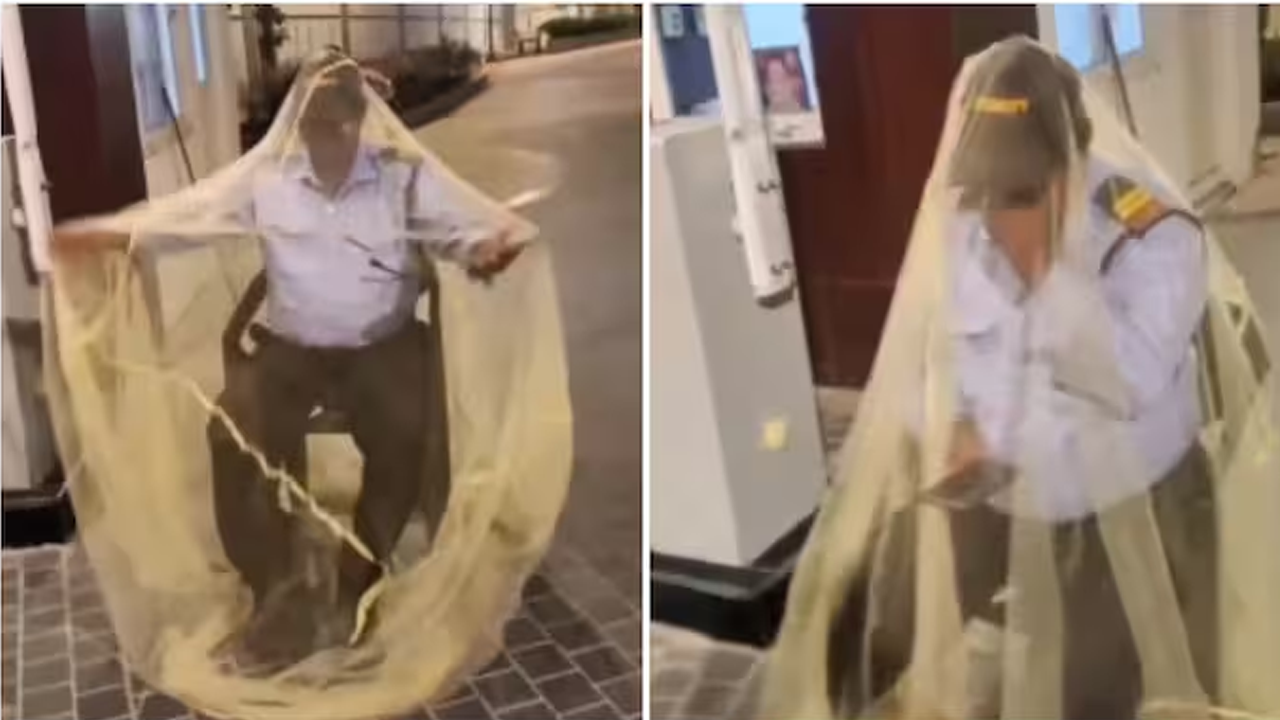 image_283625_1776598882